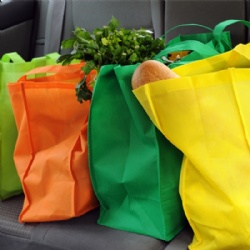 Non woven grocery shopping bags